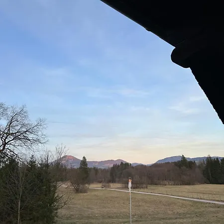 Esterer ゲストハウス