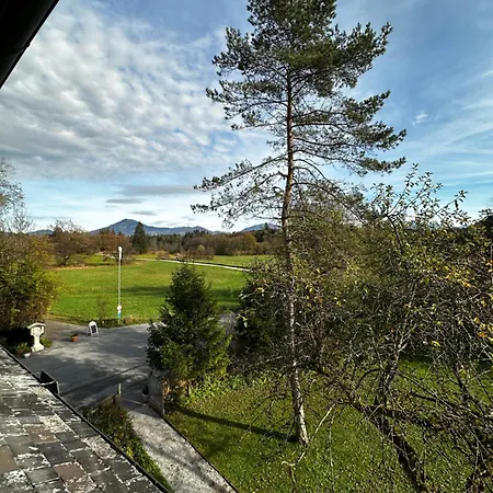 Pensión Esterer Grödig