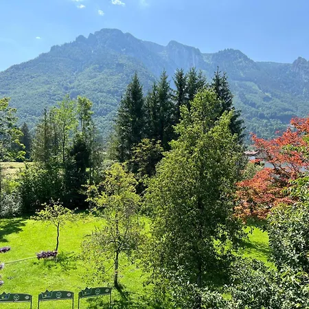 Esterer グレーディヒ