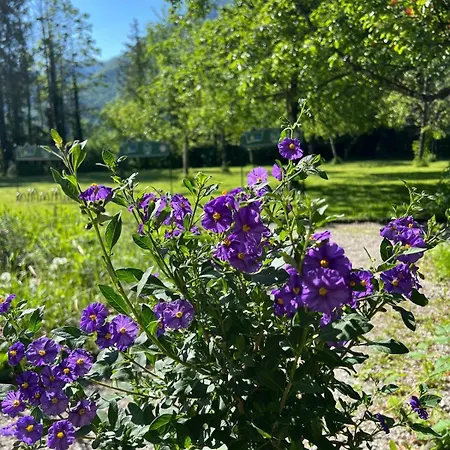 Esterer 3* グレーディヒ