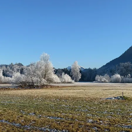 Guest house Esterer 3*