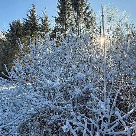 Esterer Guest house Grodig