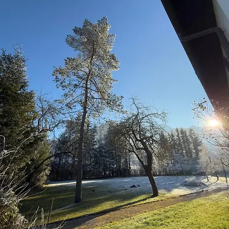 ゲストハウス Esterer 3*