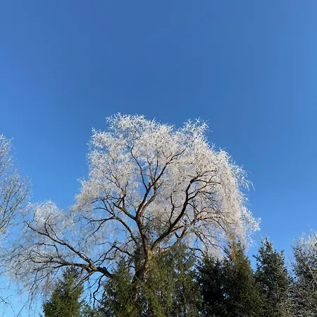 Esterer 3* グレーディヒ