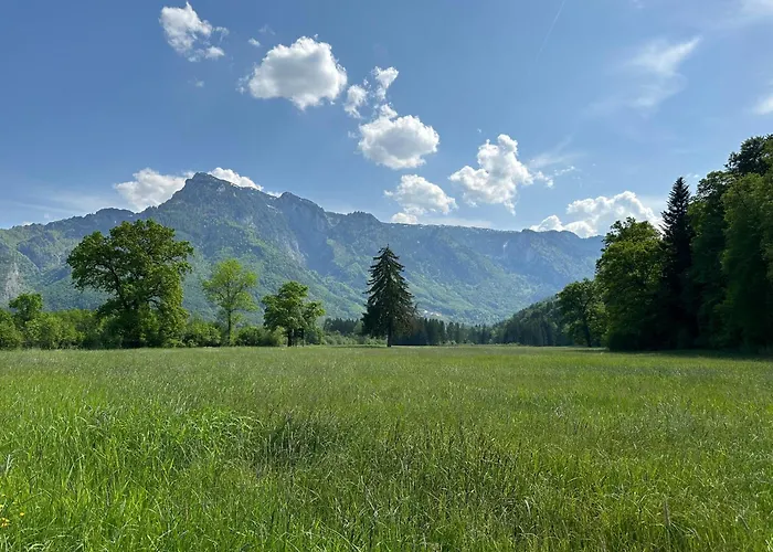 בית הארחה Esterer גרודיג