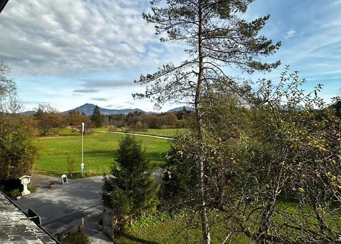 בית הארחה Esterer גרודיג