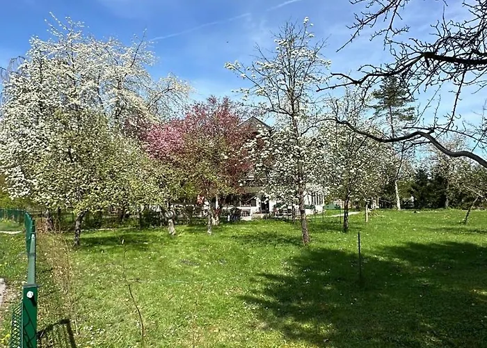 Esterer גרודיג