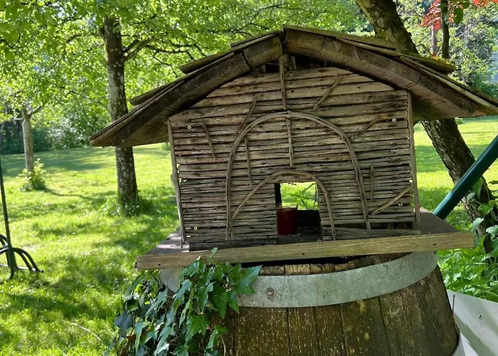 Esterer בית הארחה גרודיג