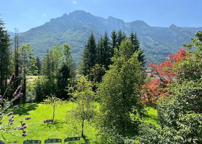 Esterer גרודיג