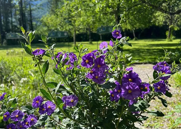 Esterer 3* גרודיג