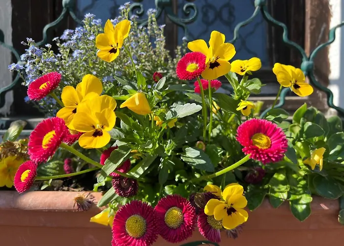 Esterer بيت ضيافة