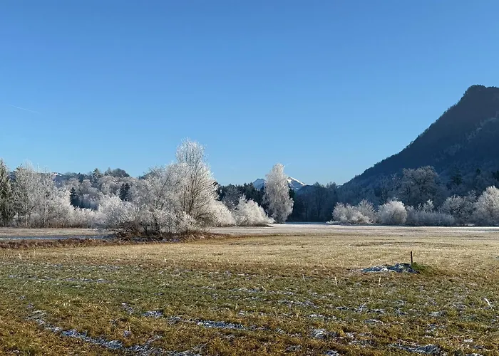 בית הארחה Esterer 3*