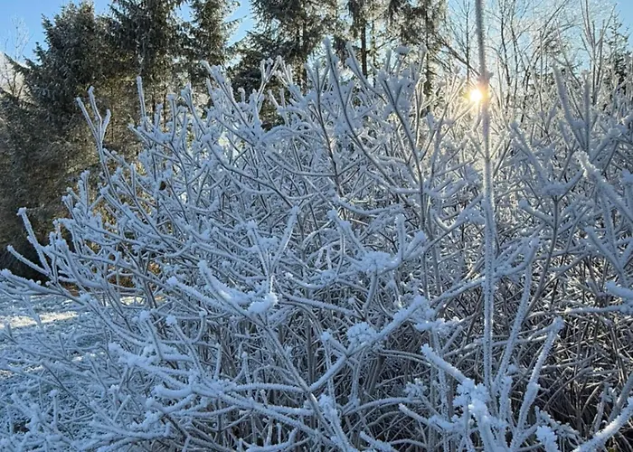 Esterer בית הארחה גרודיג