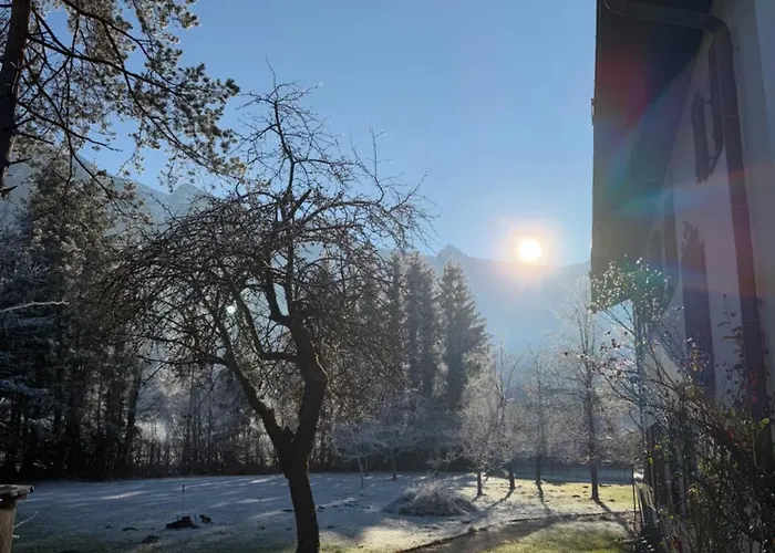 Esterer 3* גרודיג