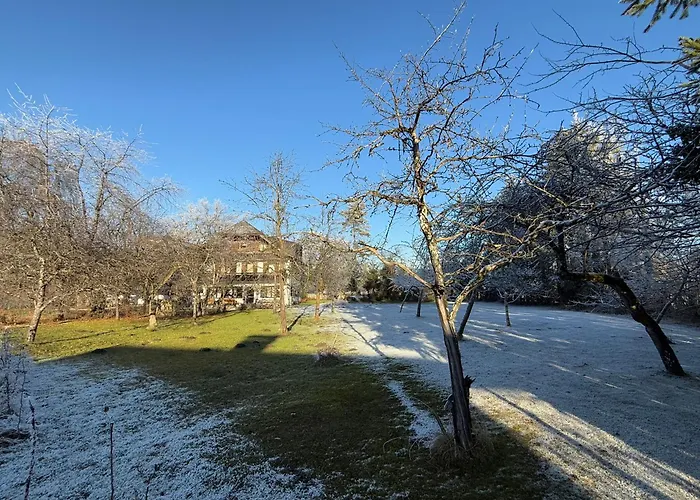 בית הארחה Esterer