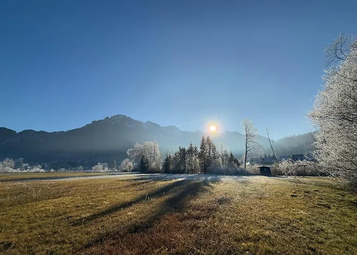 Esterer בית הארחה 3*