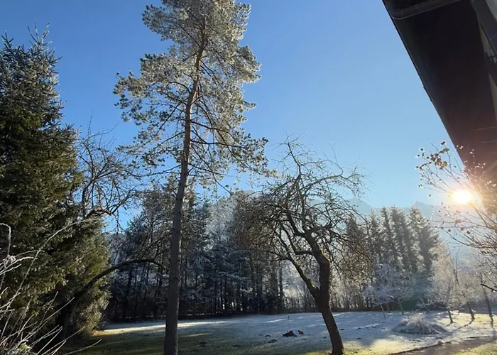 בית הארחה Esterer 3*