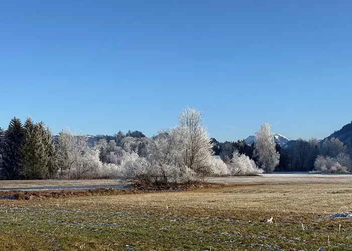 Esterer בית הארחה גרודיג