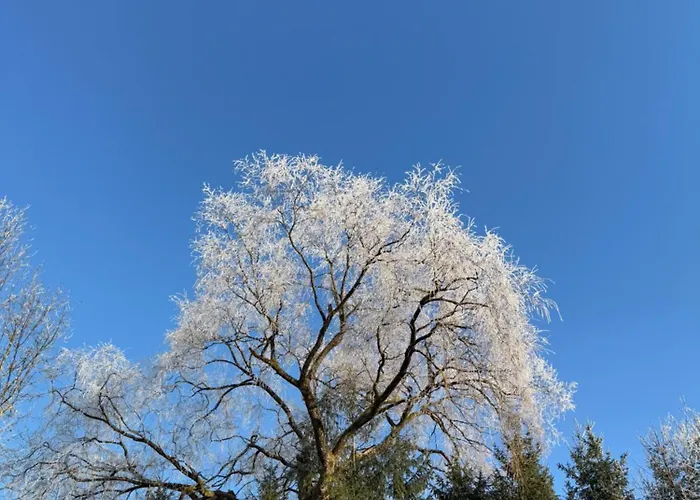 Esterer 3* גרודיג