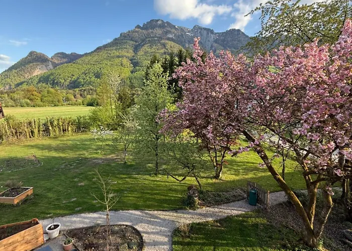 Esterer בית הארחה גרודיג