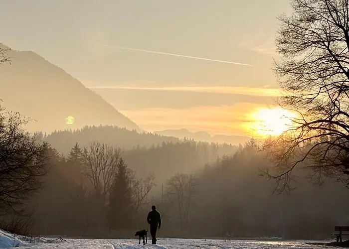 Esterer 3* גרודיג